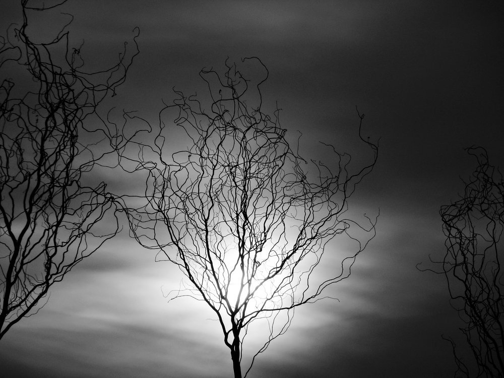 Photograph by Юрий Филицкий