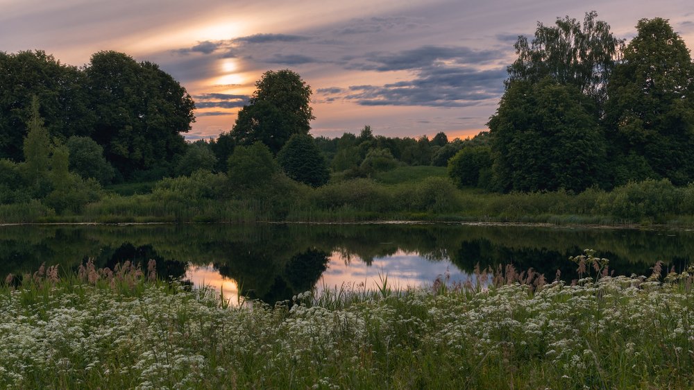 Фотография автора Ольга Бородина