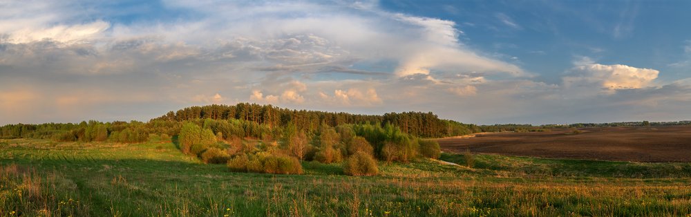 Фотография автора Ольга Бородина