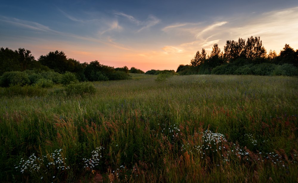 Фотография автора Ольга Бородина