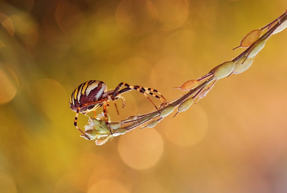 Photograph by Pawel Plucinski