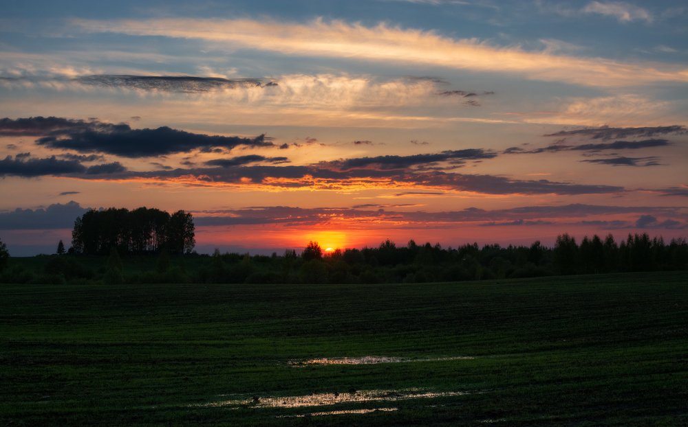 Фотография автора Ольга Бородина