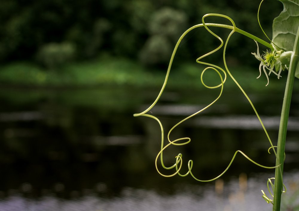 Фотография автора Ольга Бородина