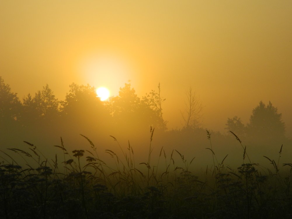 Туманный рассвет