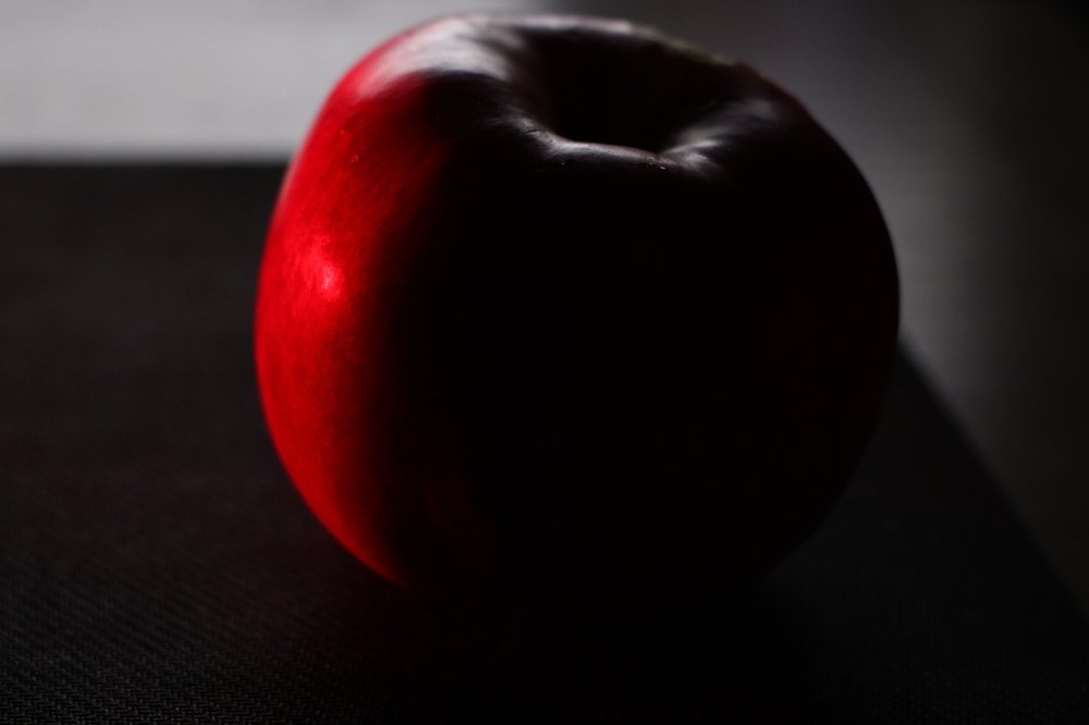 Photograph by Михаил Костыря