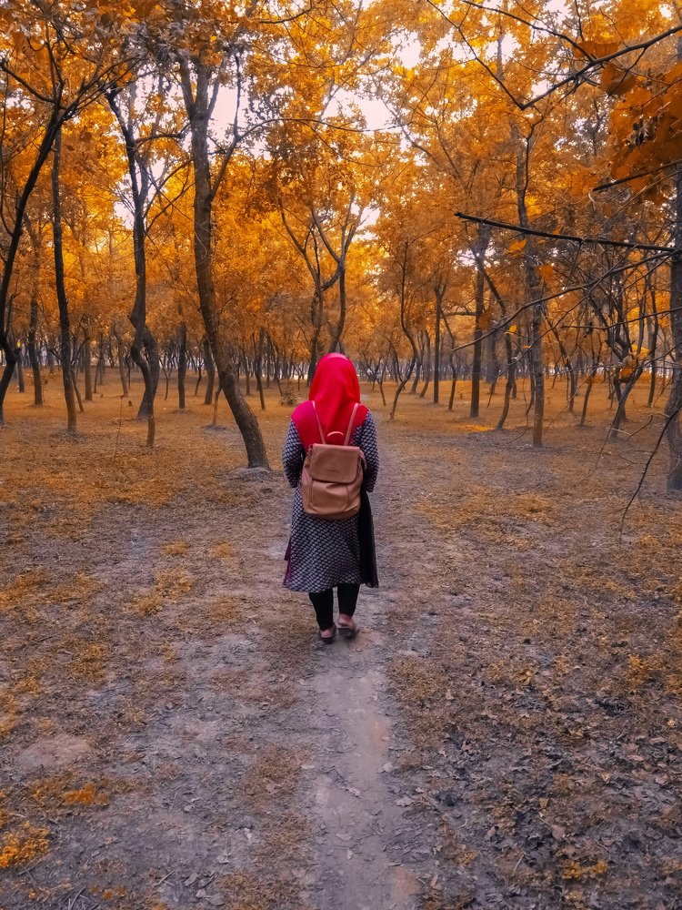 Alone in the forest