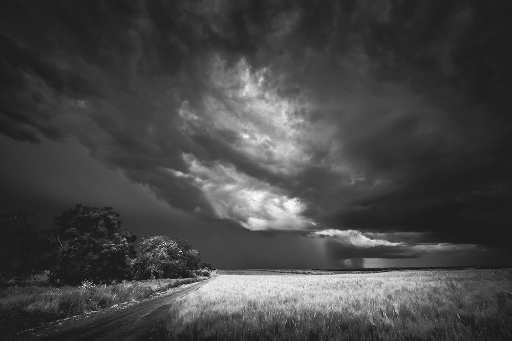 Июнь. Грозовой фронт приближается.  June. The storm front is approaching.