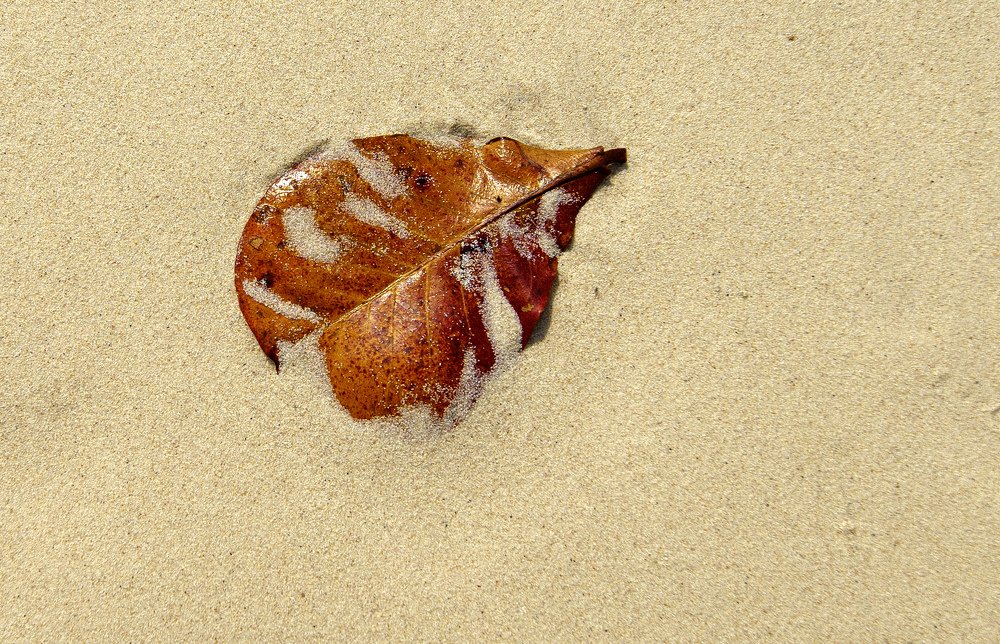 Photograph by Евгений