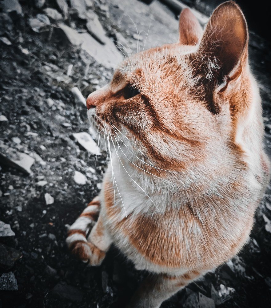 Photograph by Айшат Чупанова
