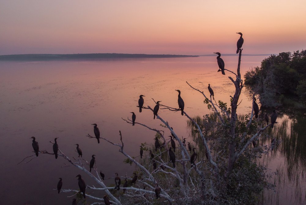 Photograph by Александр Колбасин