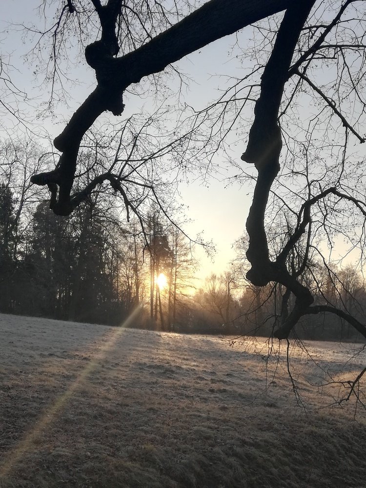 Павловск. Утро.