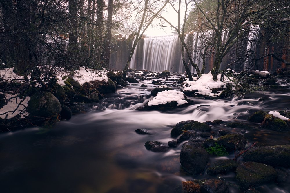 Photograph by Prince