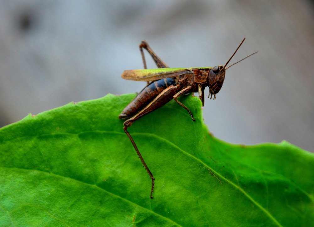 Photograph by Александра Гущенко