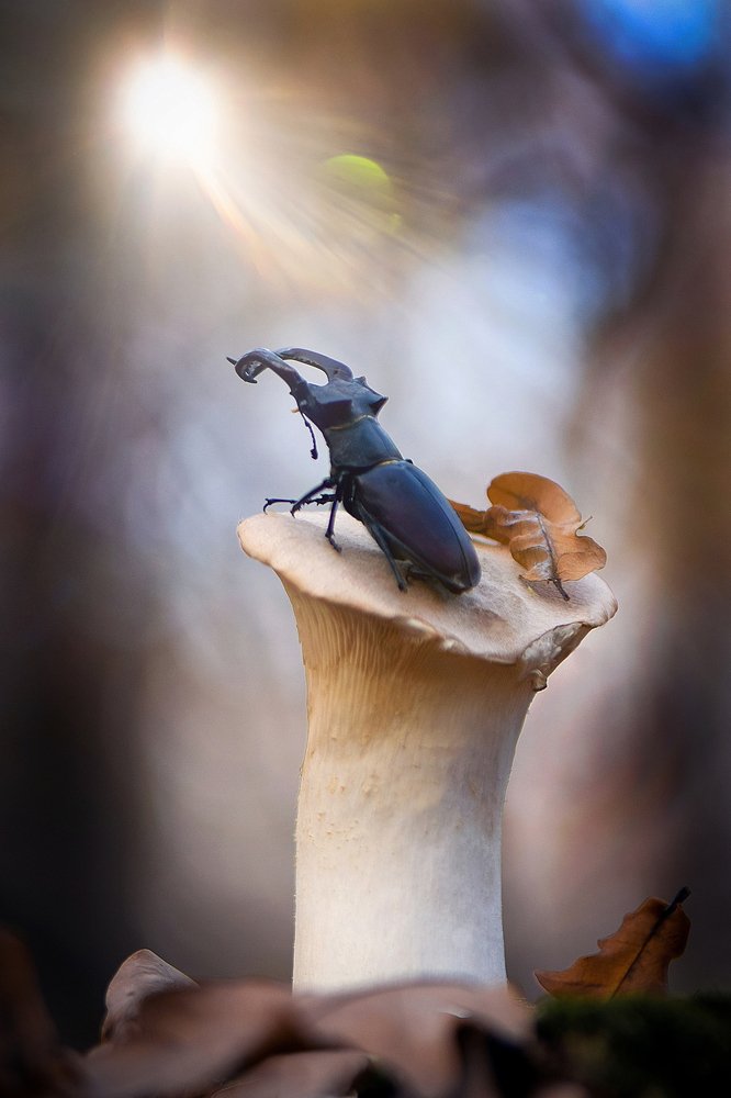 Photograph by Виктория Быканова