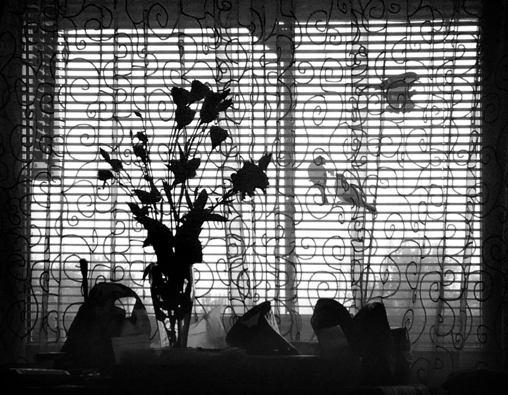 Photograph by Диана Арье