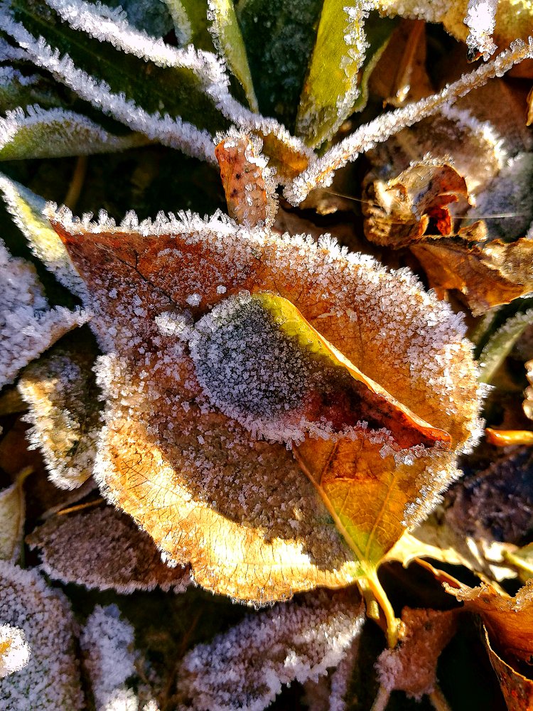 Photograph by Елена Вертегова