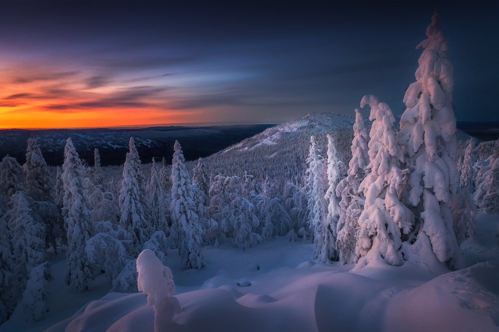 Photograph by Владимир Ляпин