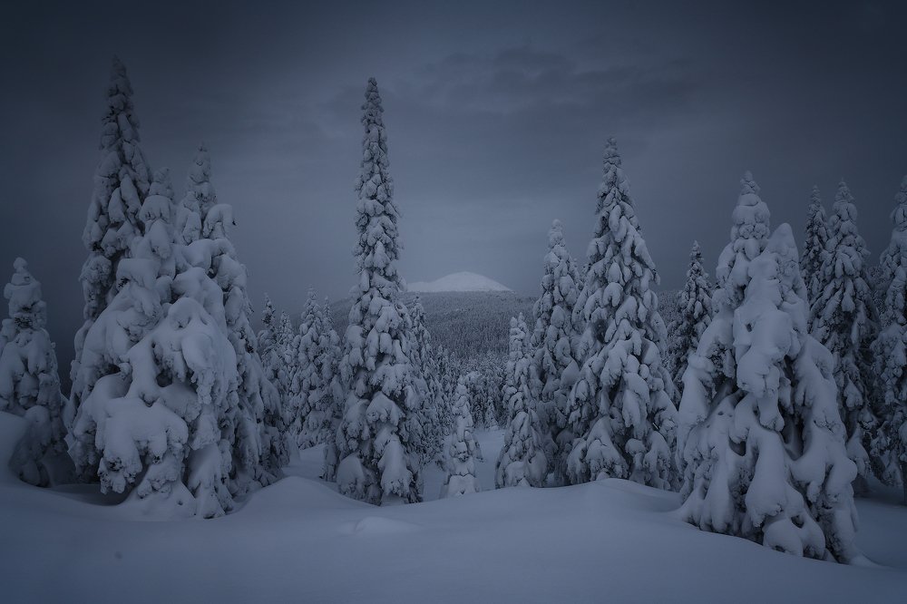 Photograph by Владимир Ляпин