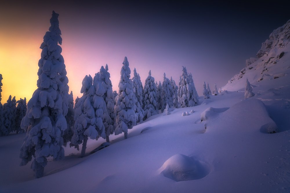 Photograph by Владимир Ляпин