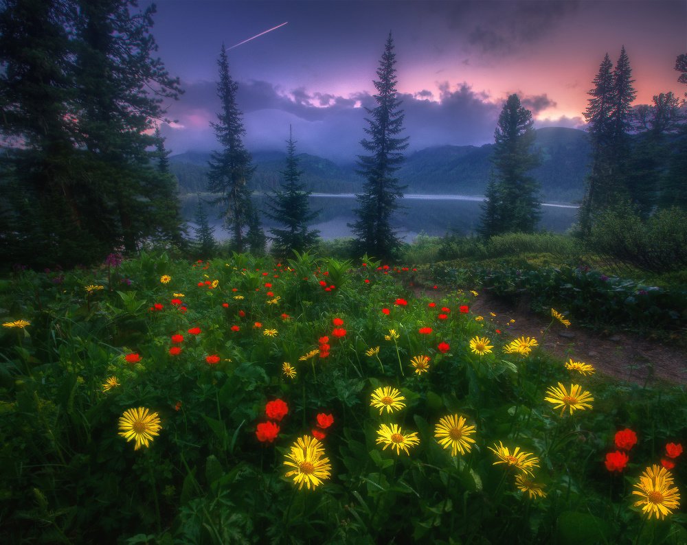 Photograph by Владимир Ляпин