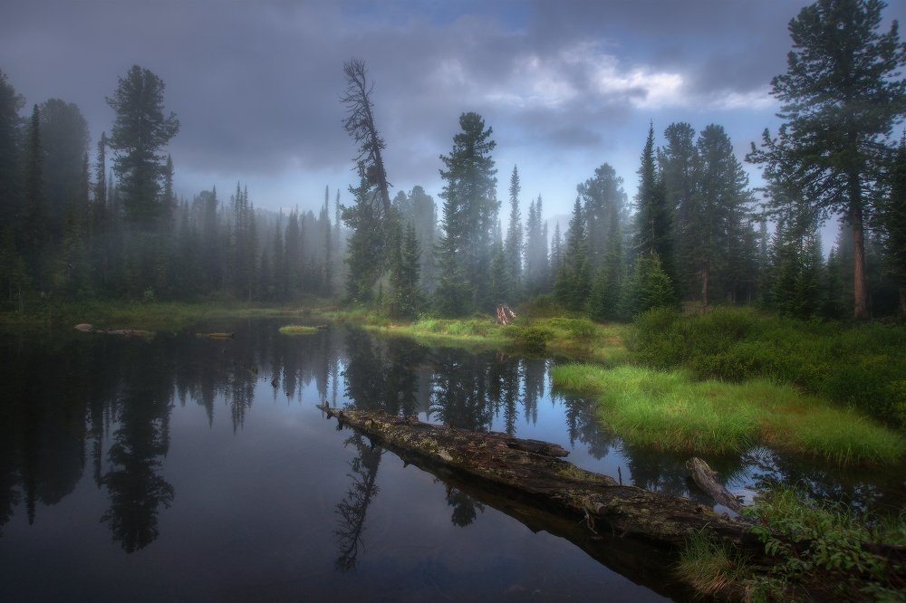 Photograph by Владимир Ляпин