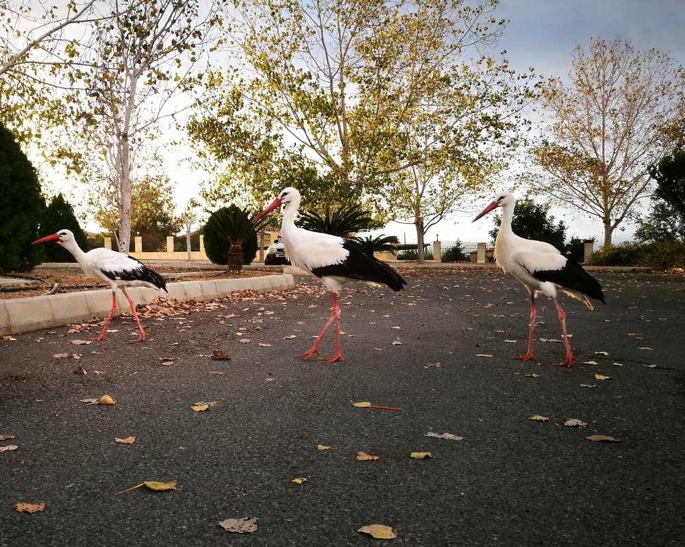 Photograph by Евгений Кравченко