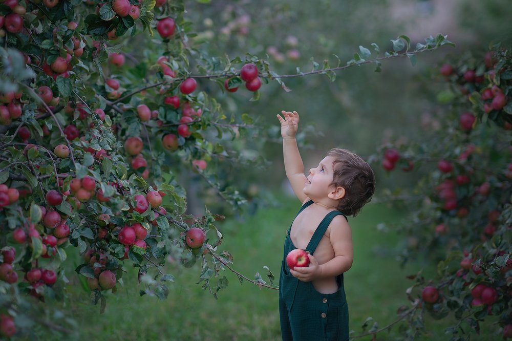 Photograph by Светлана Тузлукова