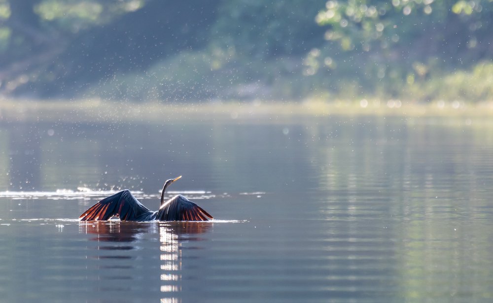 Photograph by Сергей Сыресин
