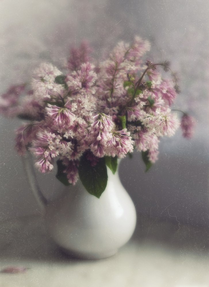 Photograph by Svoboda Andreeva