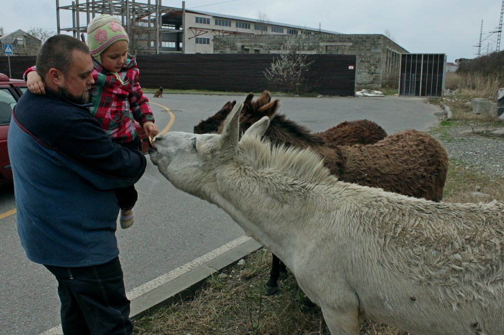 Photograph by Николай Немчанинов