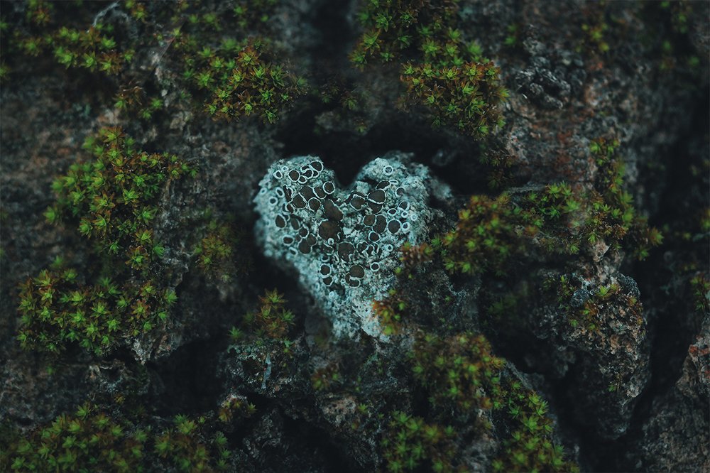 Photograph by Фролова Евгения