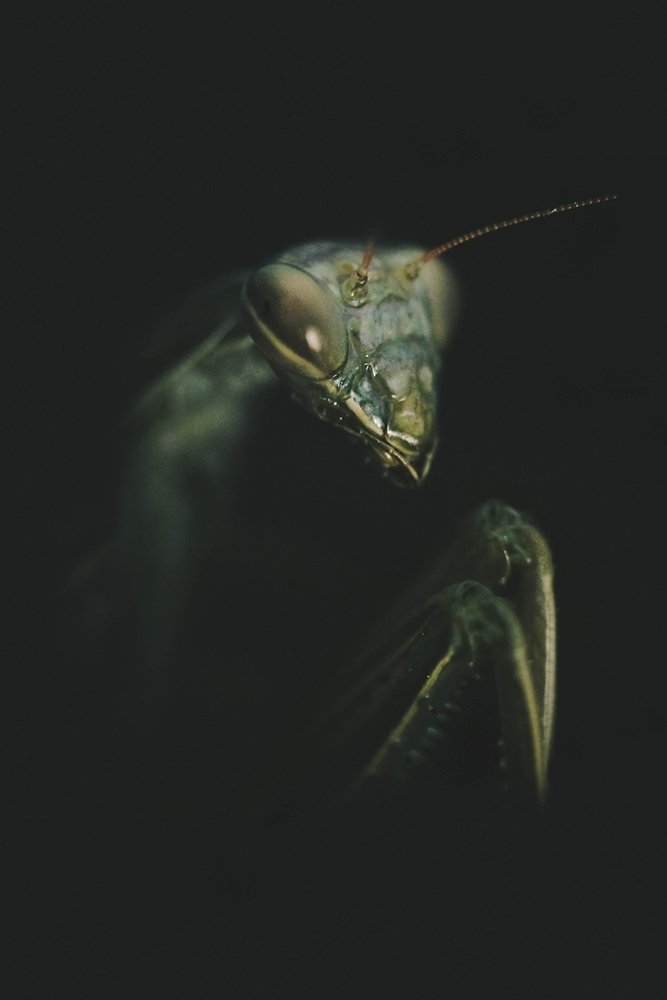 Photograph by Фролова Евгения