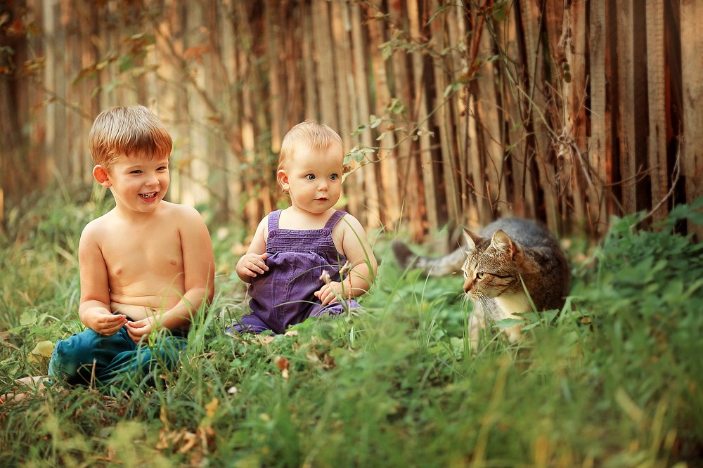 Photograph by Алёна Алисова