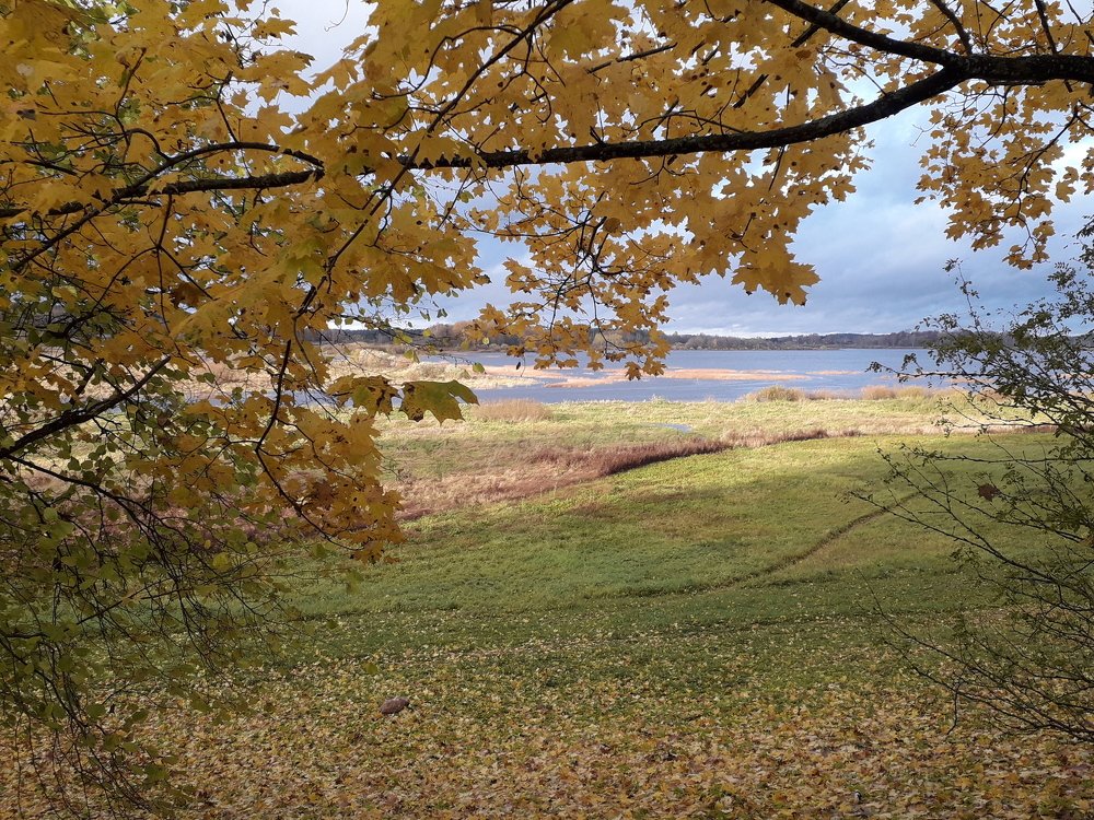 Photo #4324271
