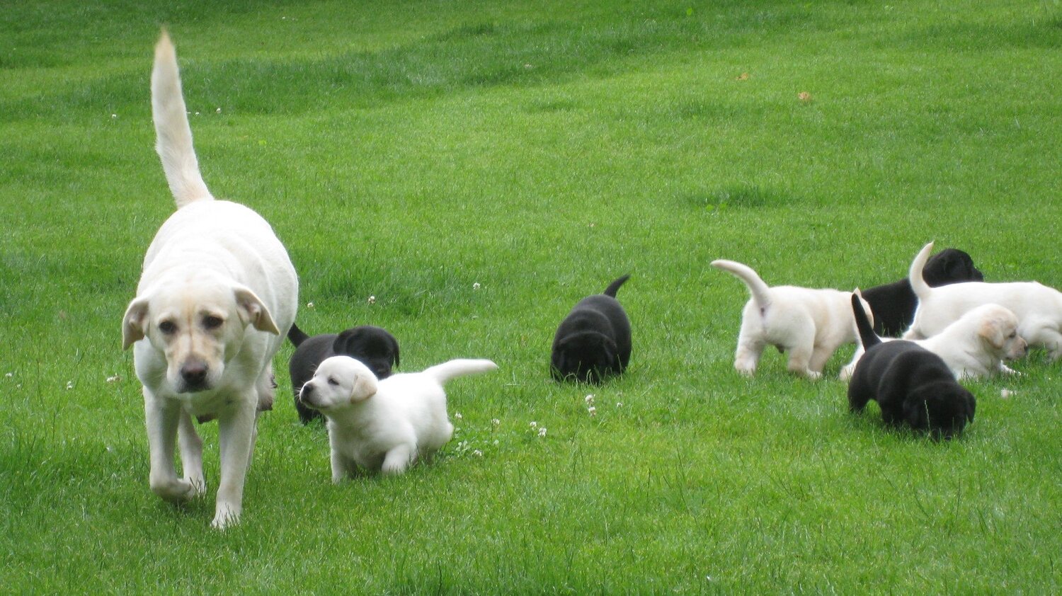 Photo #4324318