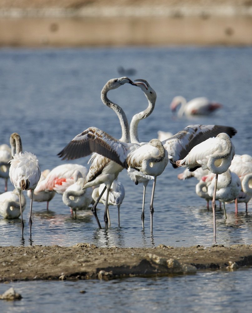 Фотография автора Vikash Mutha