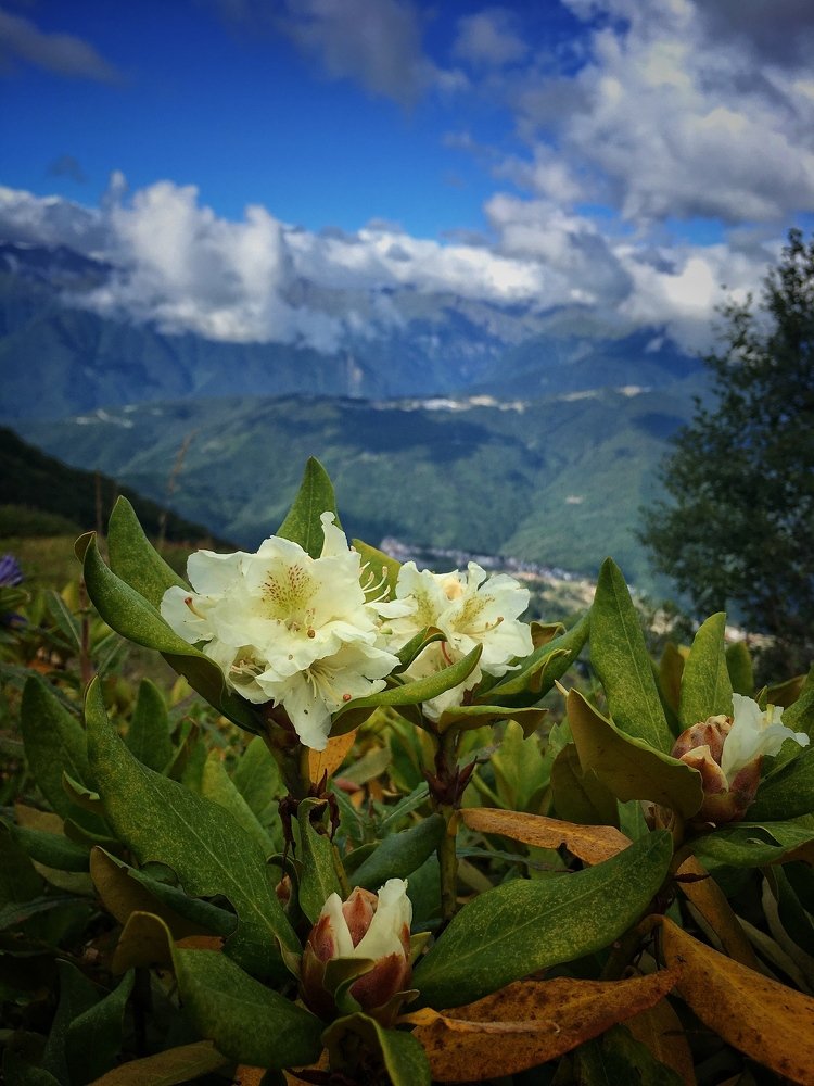 Photograph by Ленар Маликов