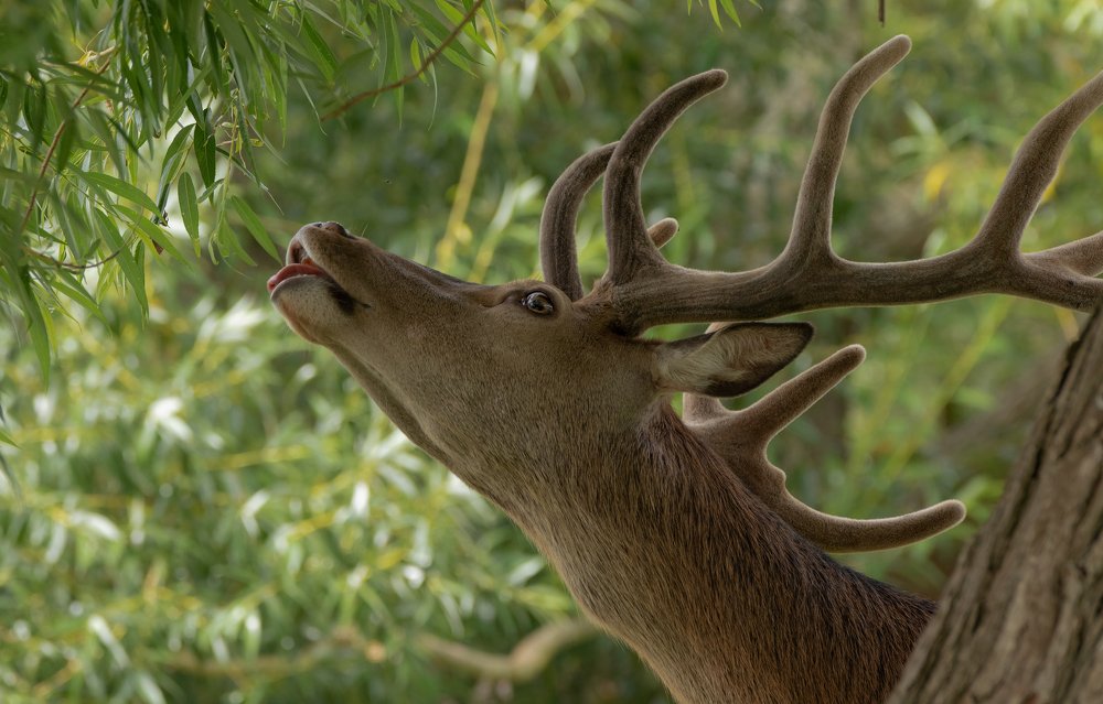 Фотография автора MARIA KULA