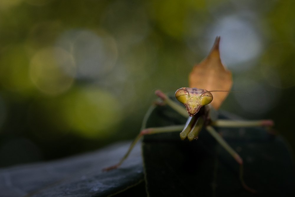 Photograph by Meire Rueda