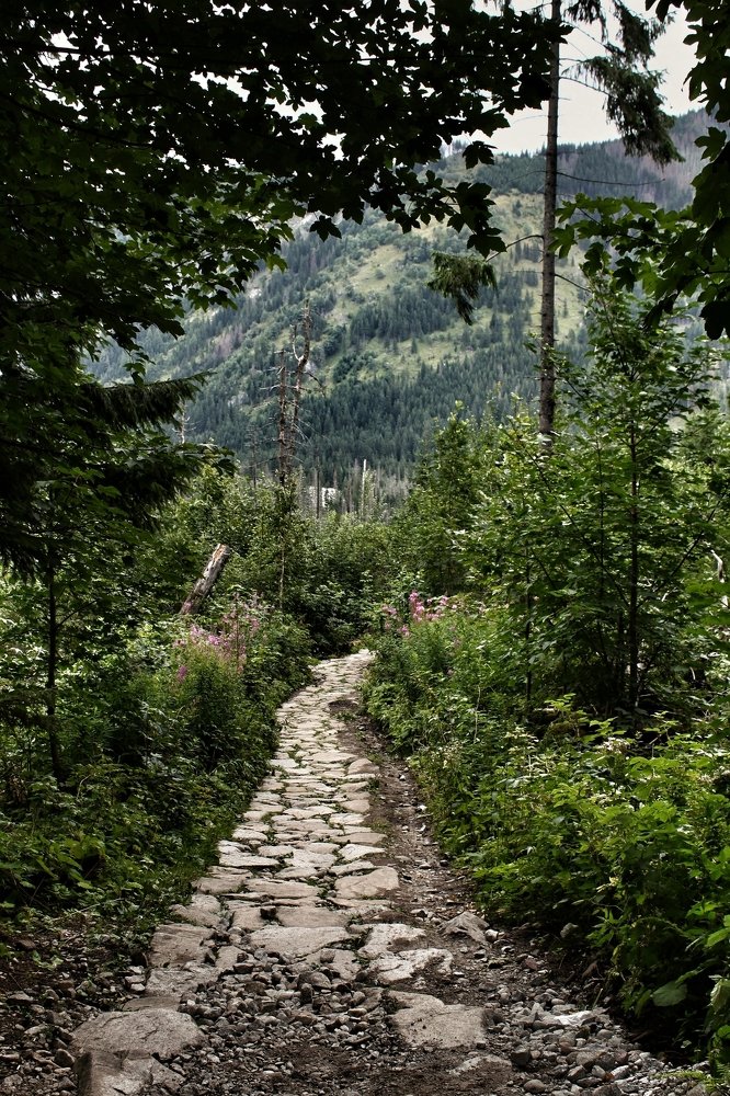 Photograph by Ярослав Грабовой