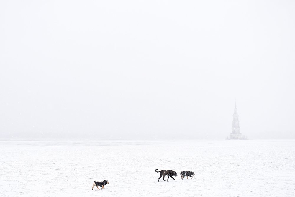 Пустошь