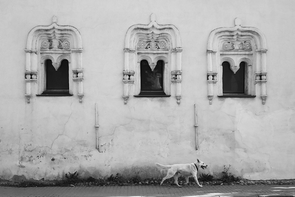 Photograph by Yulia Parfenova