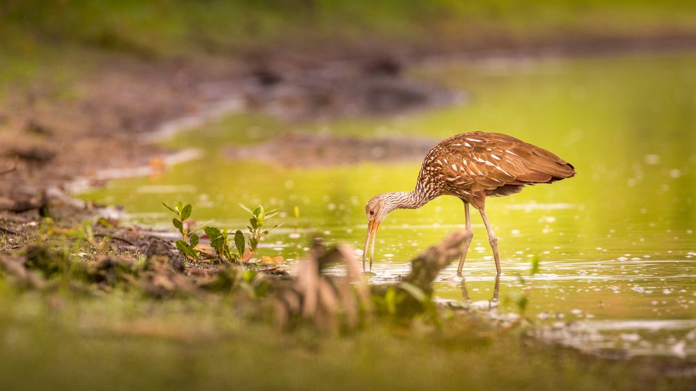 Photograph by Илья Данилов