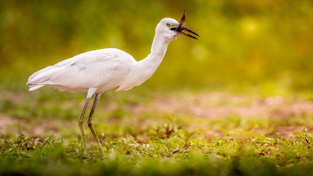 Photograph by Илья Данилов