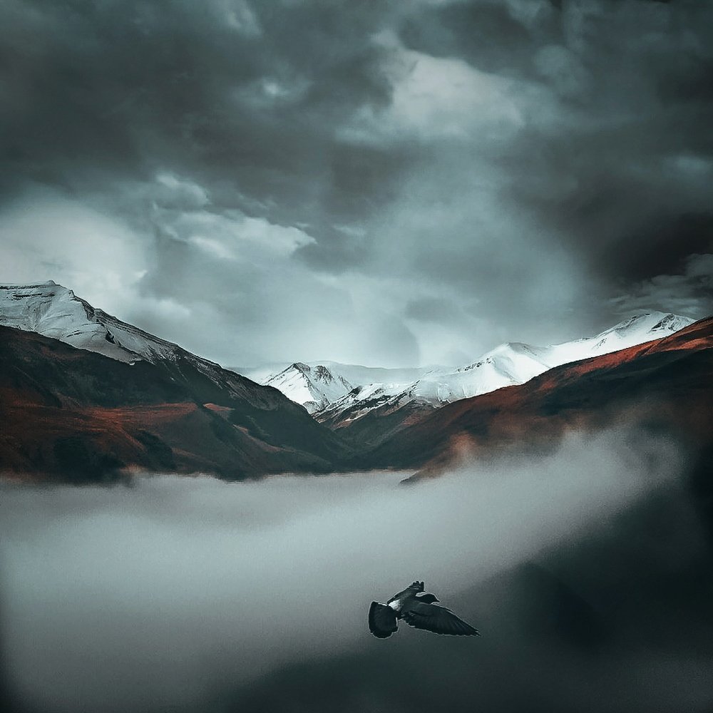 Photograph by Айшат Чупанова