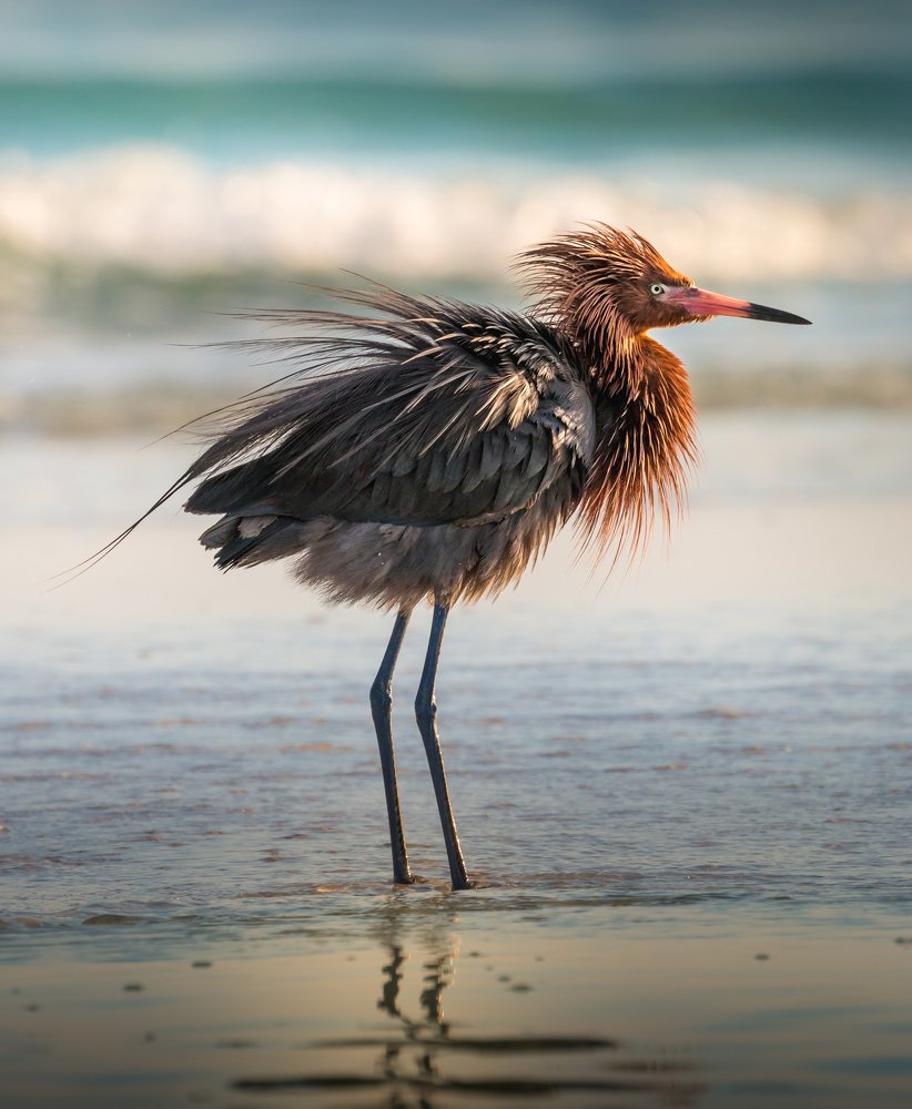 Photograph by Илья Данилов