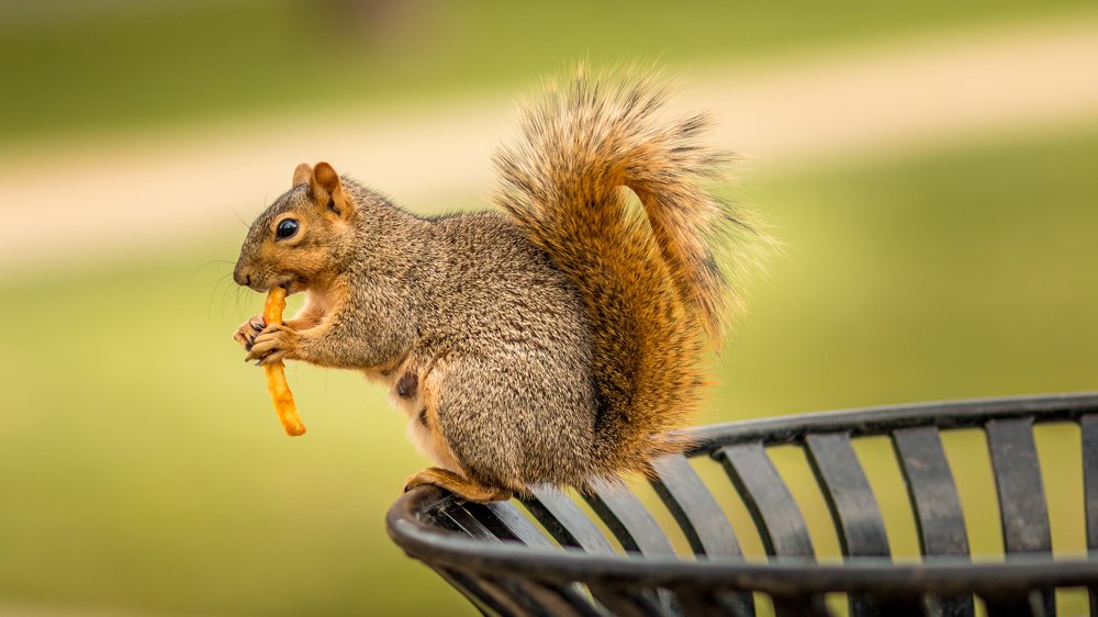 Photograph by Илья Данилов