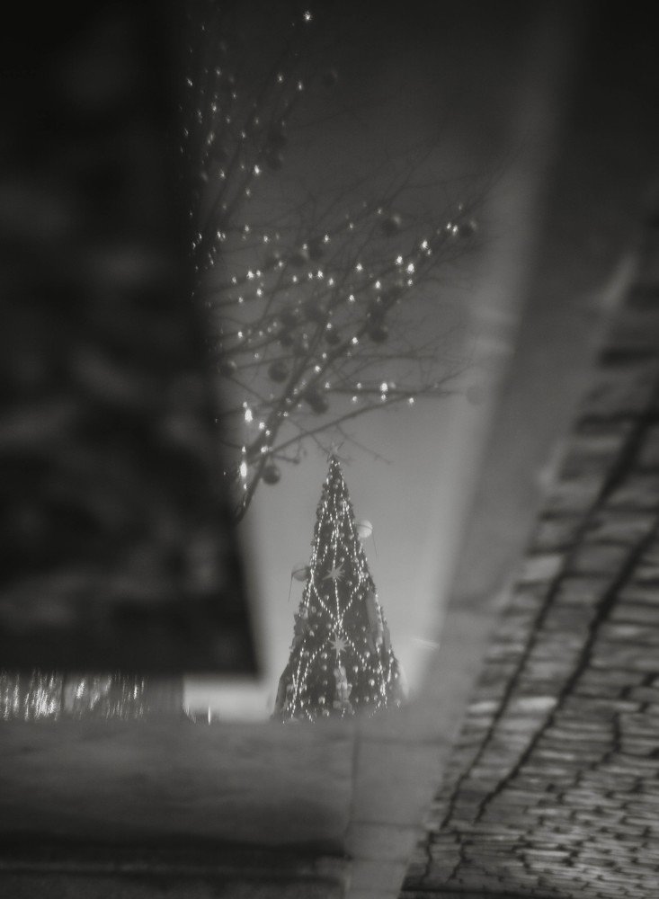 Photograph by Sergey Remizov