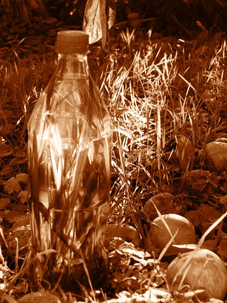 Волшебное зелье