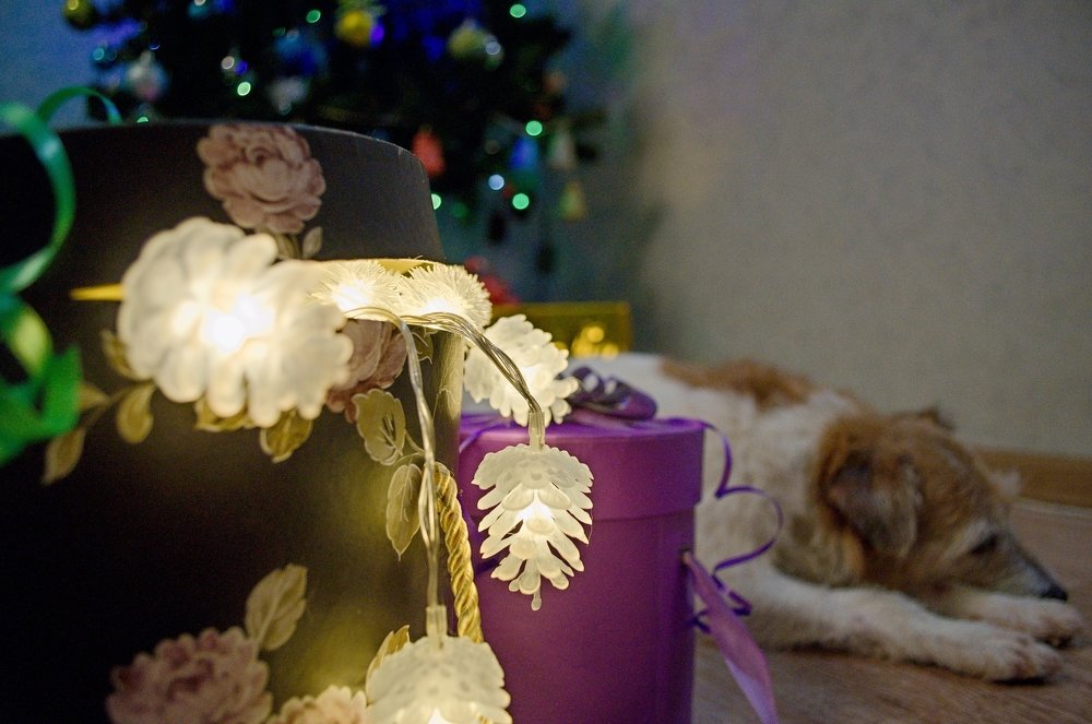 Photograph by Людмила Болычева